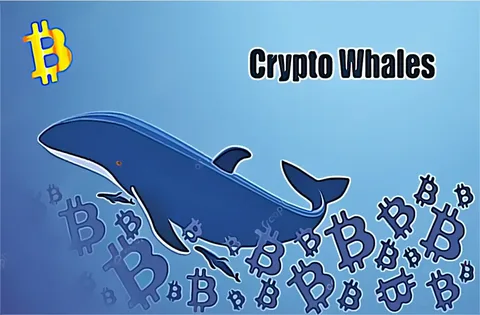 Crypto Whales Accumulating Bitcoin Amid FTX Crash